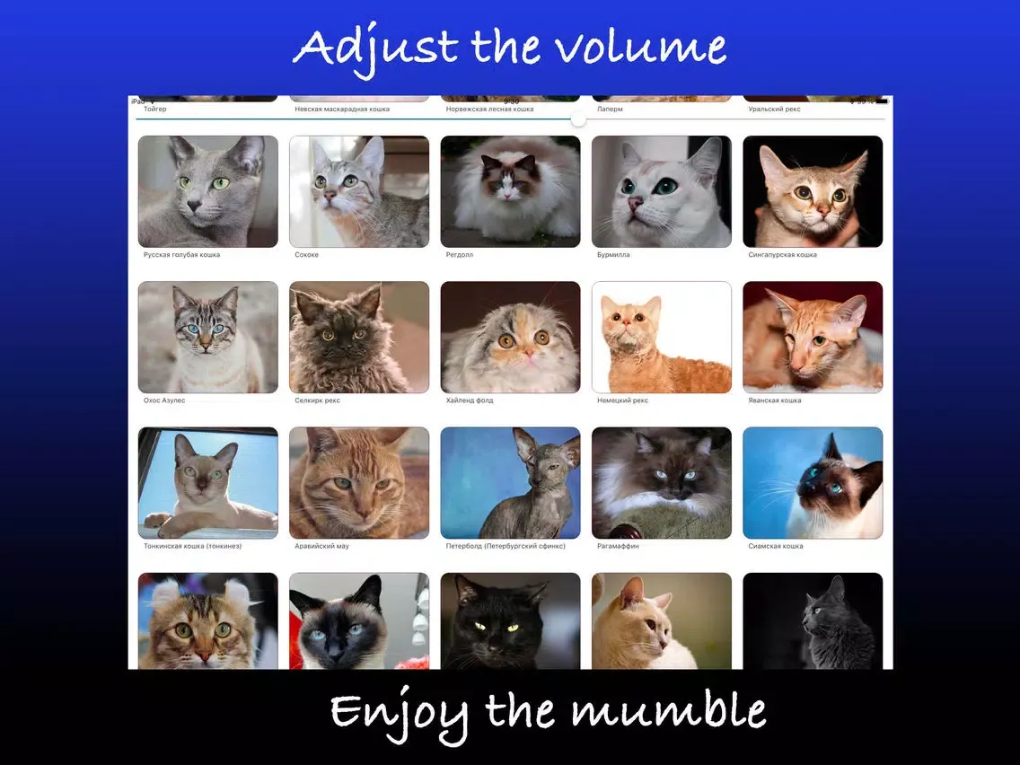 Capturas de tela do Pretty cats iPad 