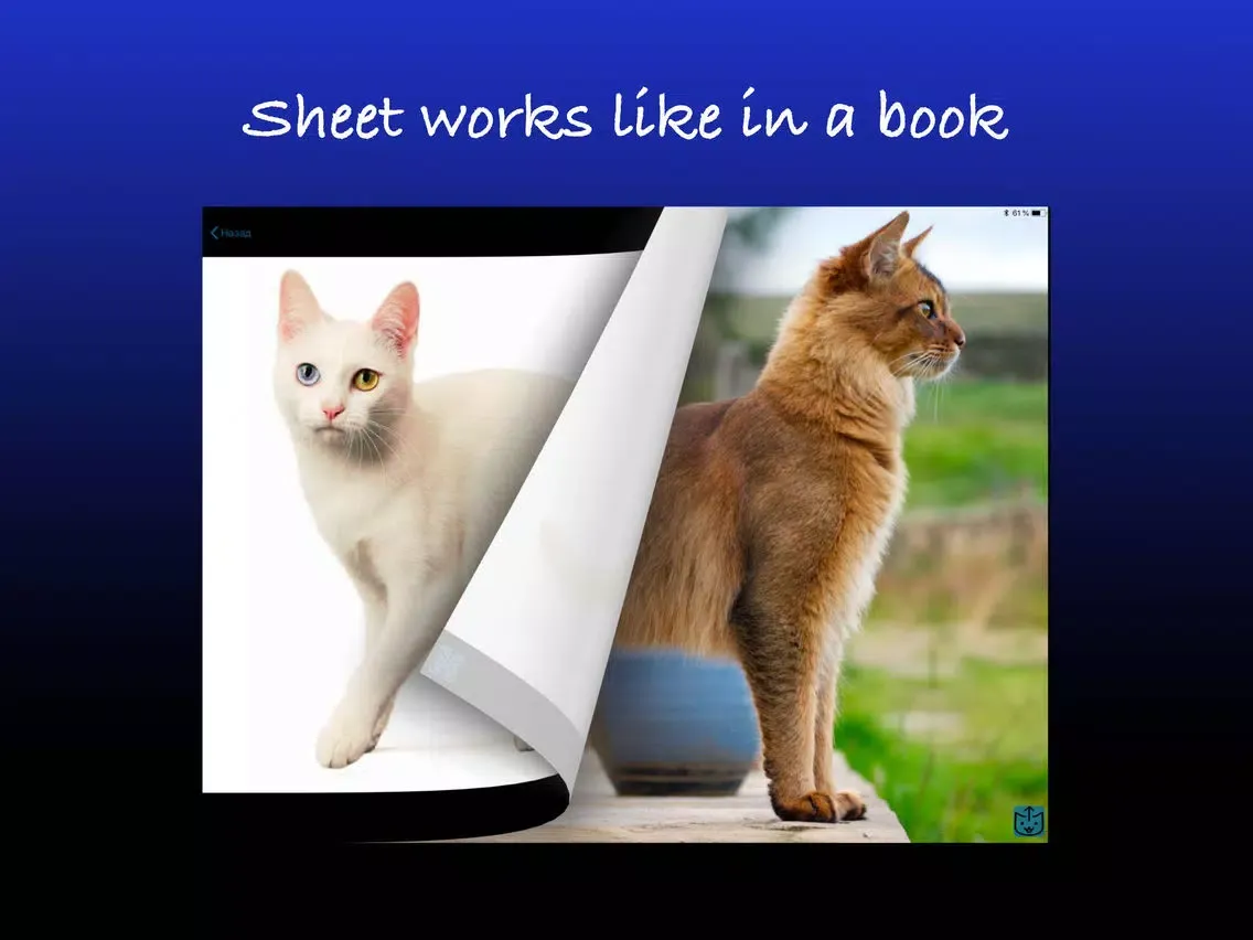 Capturas de tela do Pretty cats iPad 