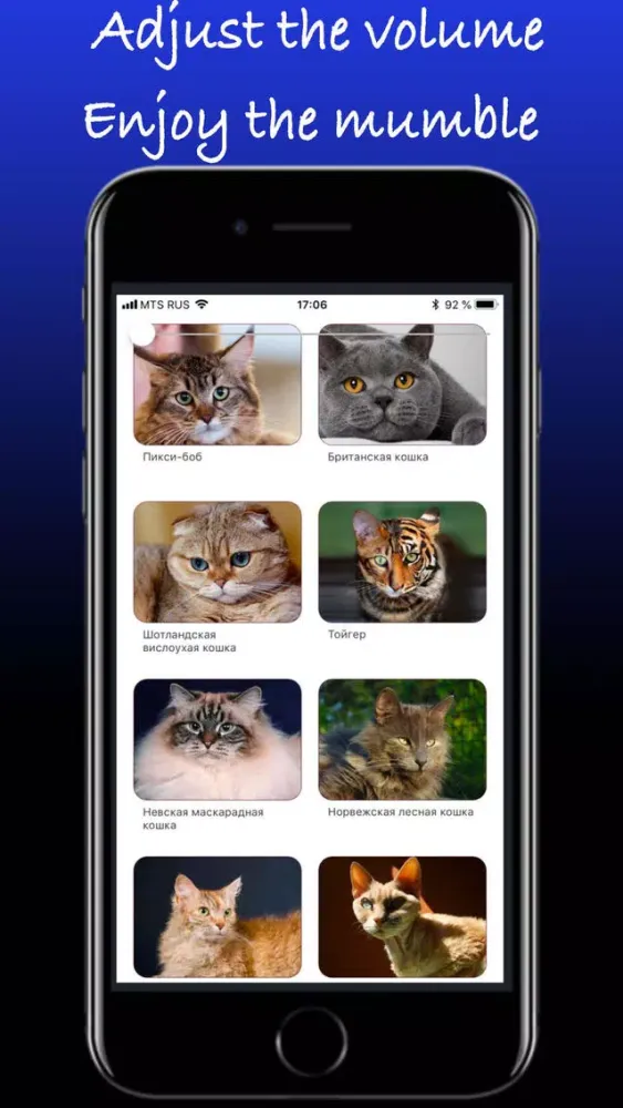 Capturas de tela do Pretty cats