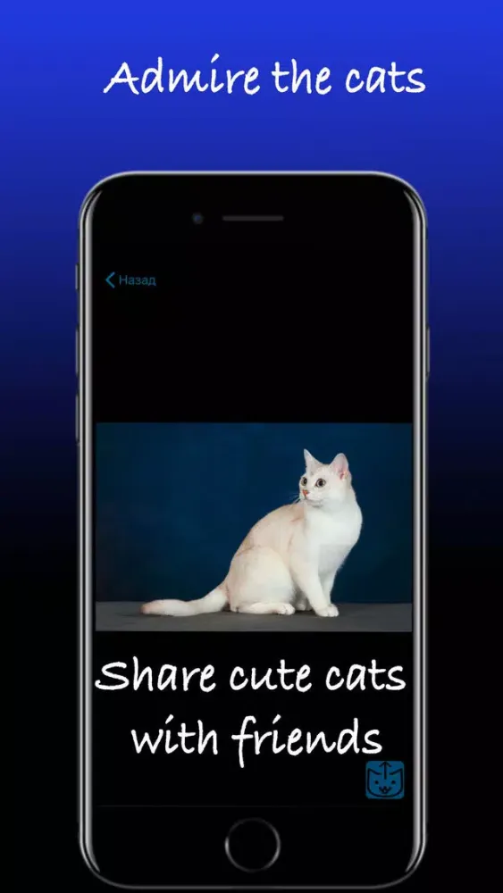 Capturas de tela do Pretty cats
