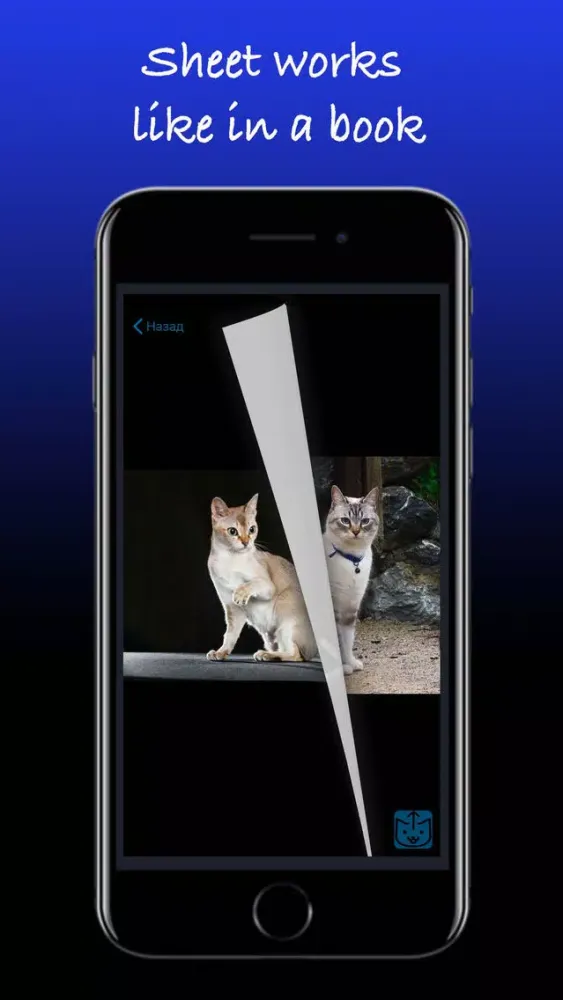 Capturas de tela do Pretty cats