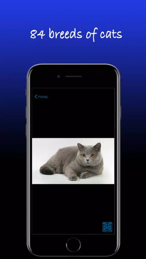 Capturas de tela do Pretty cats