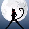 Cat to moon Cat to moon