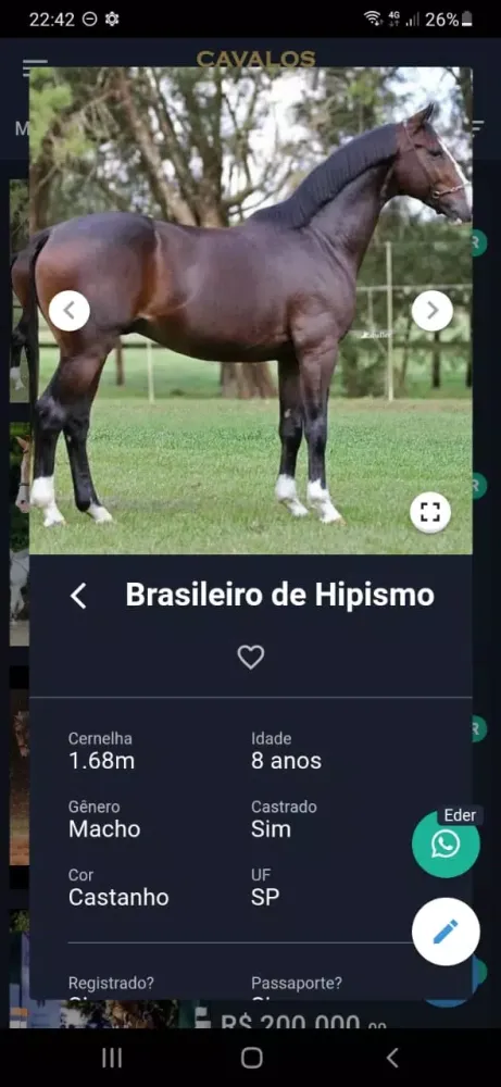 Cavalos Shop Screenshots