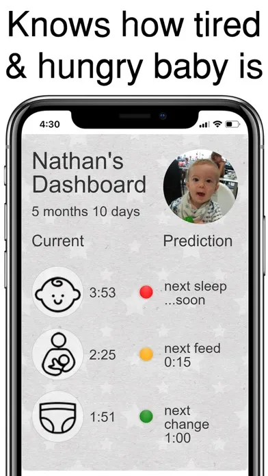 BabyPi Smart Baby Log Tracker应用截图