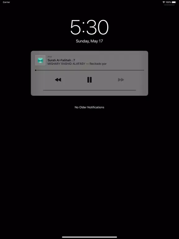 Quran Spanish iPad  স্ক্রিনশট