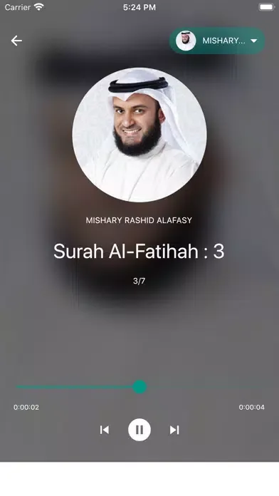 Quran Spanish স্ক্রিনশট
