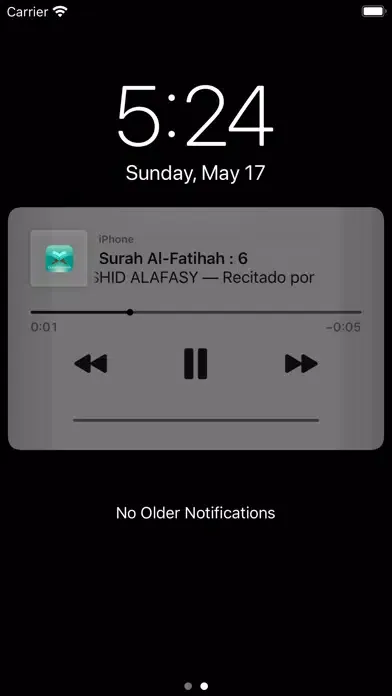 Quran Spanish স্ক্রিনশট