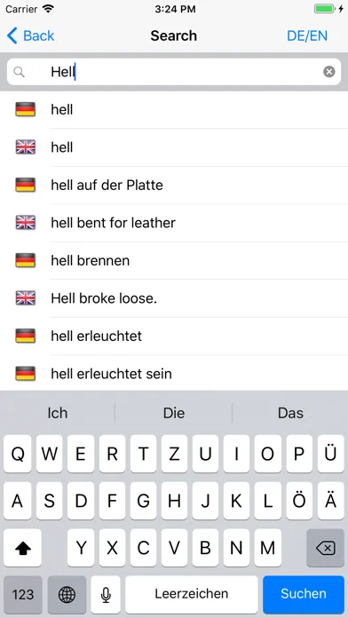 ภาพหน้าจอของ dict.cc+ Dictionary