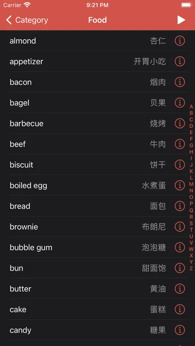 iEnglish - beginners essential スクリーンショット