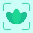 Plants Identifier: plant snap