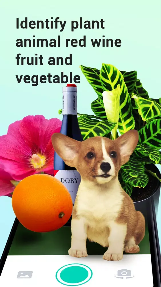 Plants Identifier: plant snap 스크린샷