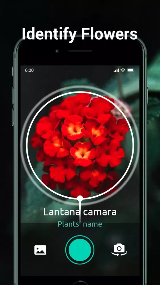 Plants Identifier: plant snap 스크린샷