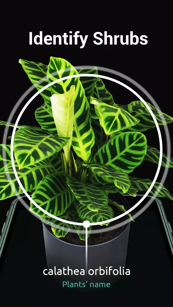 Plants Identifier: plant snap 스크린샷