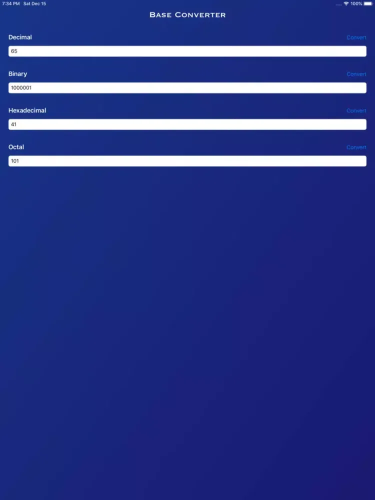 BaseConverter DEC/BIN/HEX/OCT iPad 应用截图