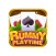 Rummy Playtime