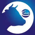 CEVA-Ganado CEVA-Ganado