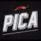 Pica Fitness