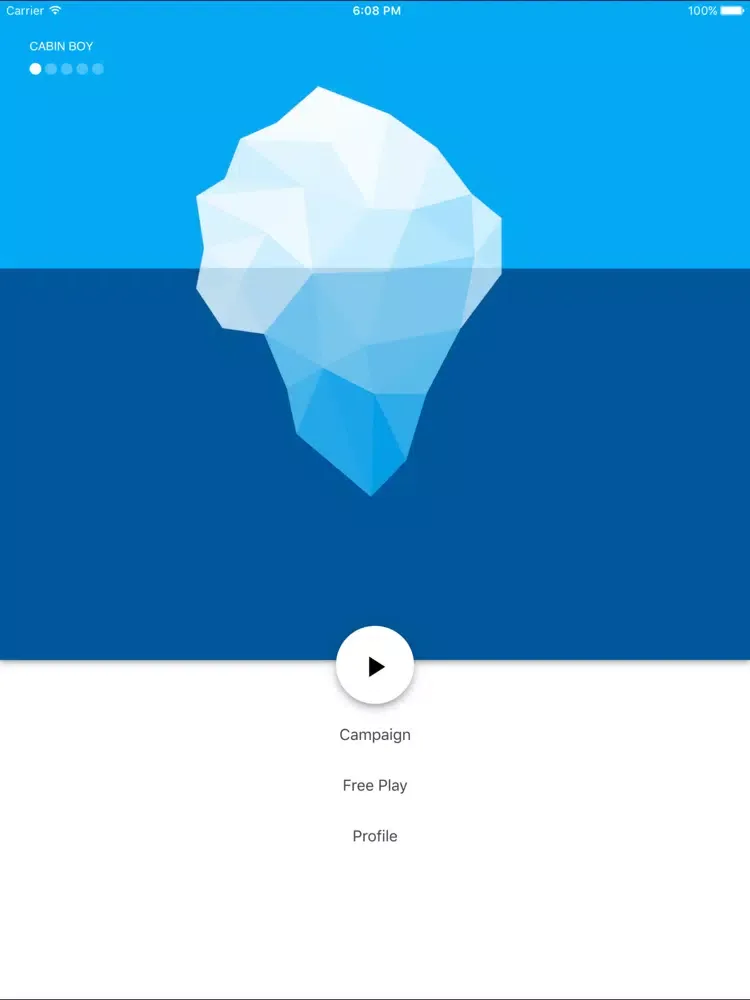 ภาพหน้าจอของ Bimaru logical iPad 