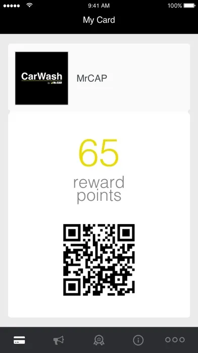 Скриншоты MrCAP