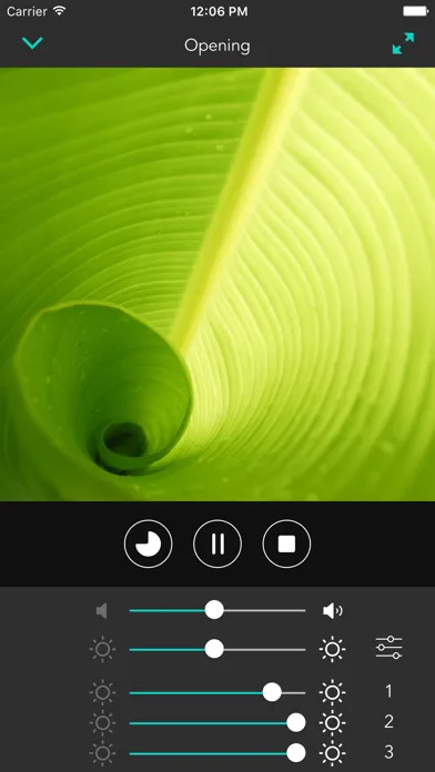 Capturas de pantalla de mycoocoon Color Institute - Color Therapy