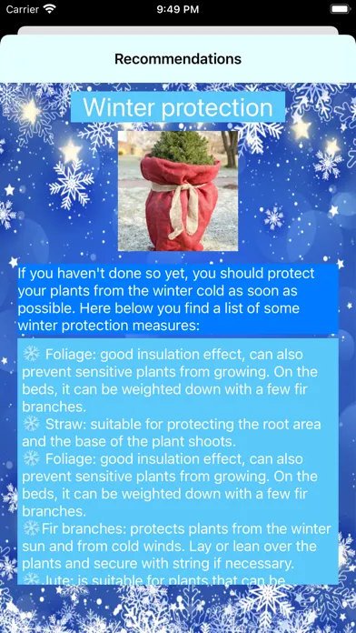 Garten Adventskalender Screenshots