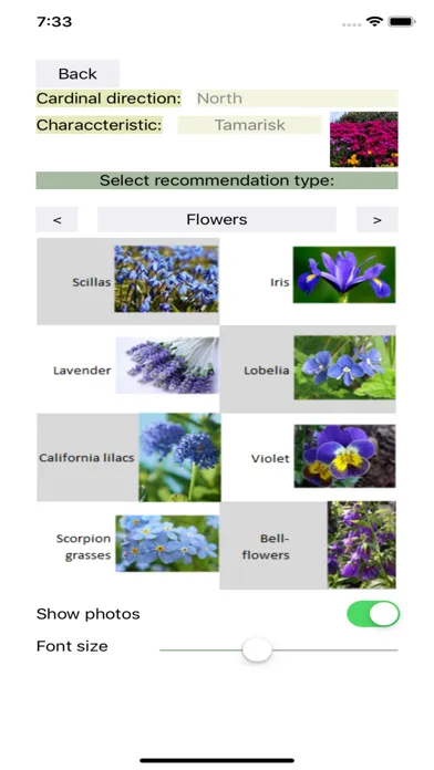 Garden Feng-Shui Screenshots