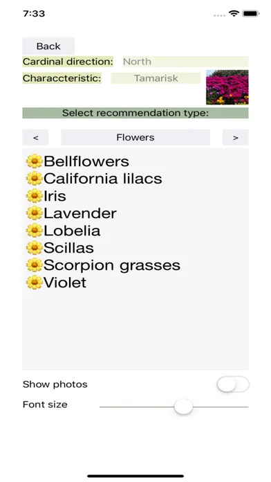 Garden Feng-Shui Screenshots
