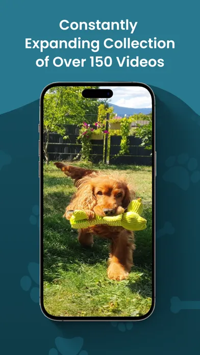 Capturas de tela do DOGLi - Dog Enrichment & Games