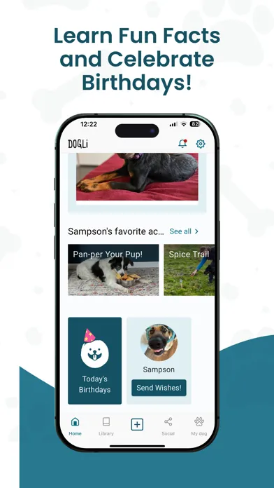 Capturas de tela do DOGLi - Dog Enrichment & Games