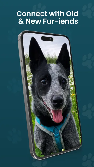 Capturas de tela do DOGLi - Dog Enrichment & Games