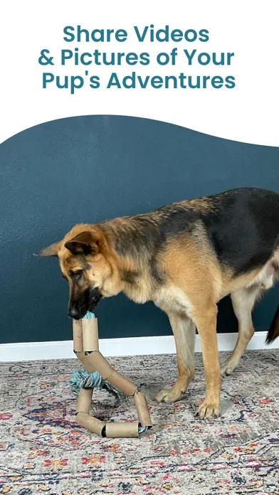 Capturas de tela do DOGLi - Dog Enrichment & Games