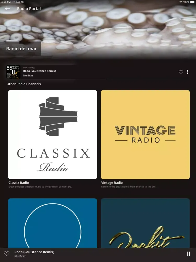 Radio del Mar - Chillout Sound iPad  Screenshots