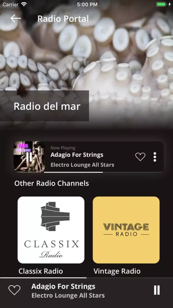 Radio del Mar - Chillout Sound Screenshots