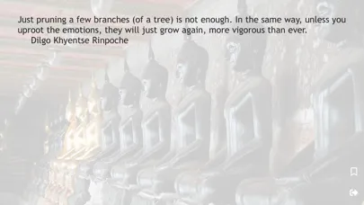 Dhyāna应用截图