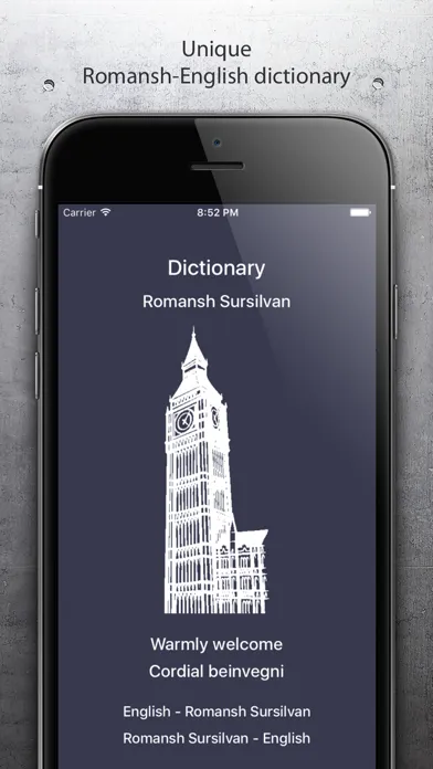 Dictionary Romansh English スクリーンショット