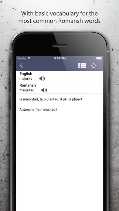 Dictionary Romansh English スクリーンショット
