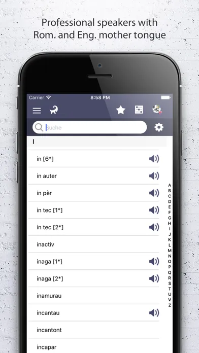 Dictionary Romansh English スクリーンショット