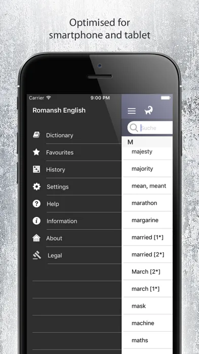 Dictionary Romansh English スクリーンショット