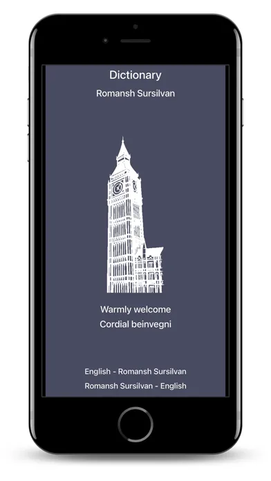 Dictionary Romansh English スクリーンショット