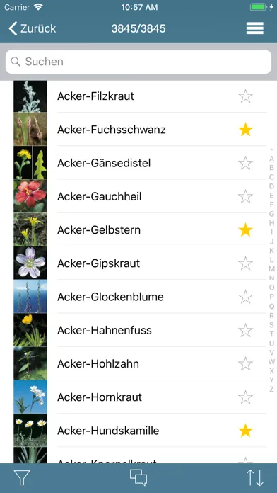 Flora Helvetica Pro deutsch应用截图