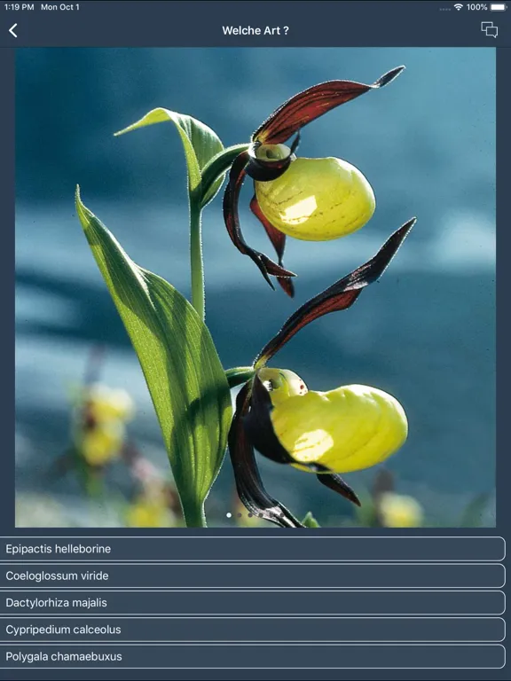 Feldbotanik iPad  스크린샷