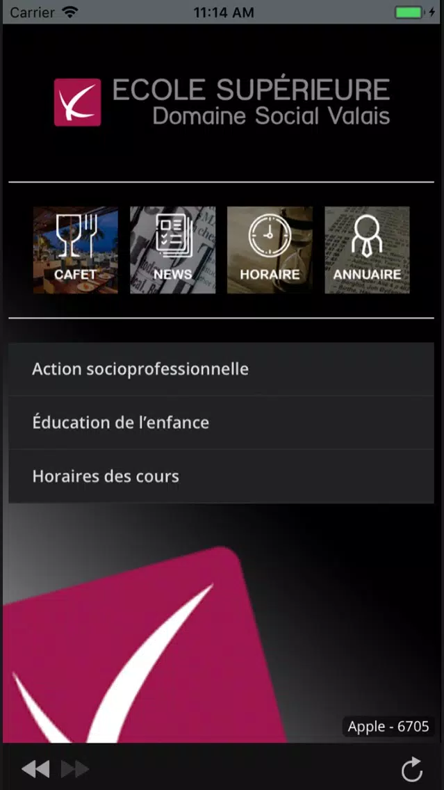 Capturas de pantalla de HES-SO Wallis