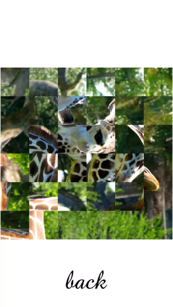 TurnPuzz - Safari应用截图