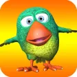 Catch the Birds : Fun Tap Game Catch the Birds : Fun Tap Game