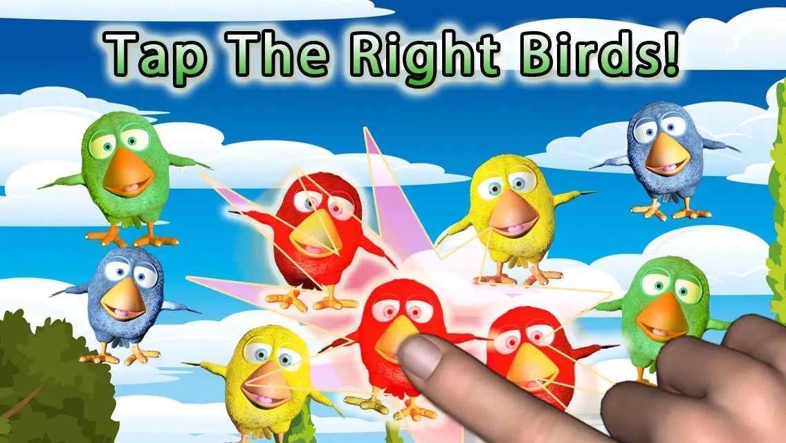 Catch the Birds : Fun Tap Game Screenshots