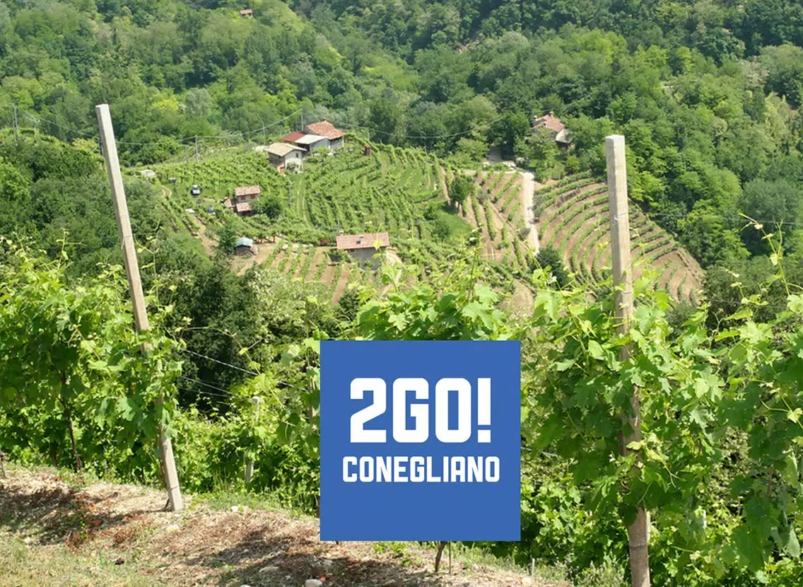 صور 2GO! Conegliano iPad 