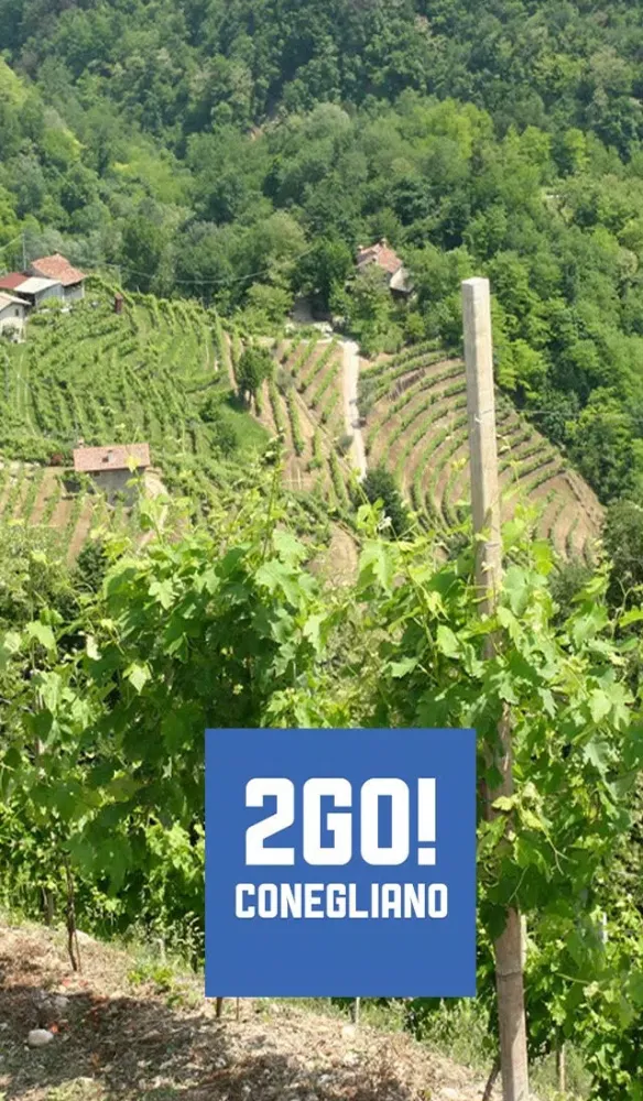 صور 2GO! Conegliano