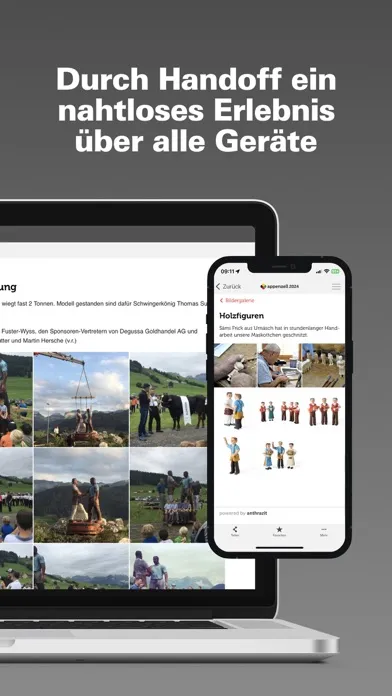 Helfer-App Appenzell 2024應用截圖