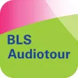 BLS Tour Lake Brienz
